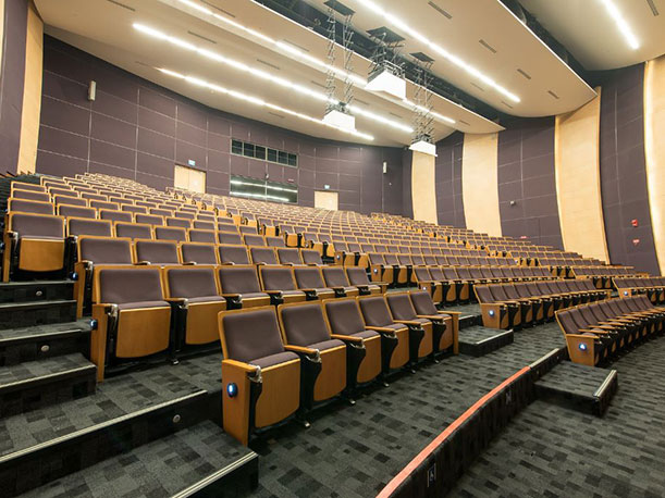 UTown Audi 2 (L1 of Stephen Riady Centre)